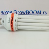 Лампа ЭСЛ 105 Вт 2700K TDM колба 6U (На цветение)